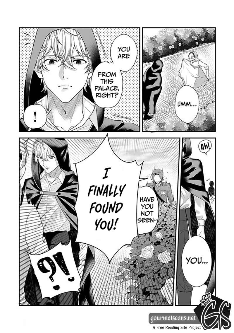 Page 29 Chapter 1 Royal Cinderella Mama: Tengai Kodoku no Botsuraku Reijou wa Reitetsu Koutei ni Dekiaisareru