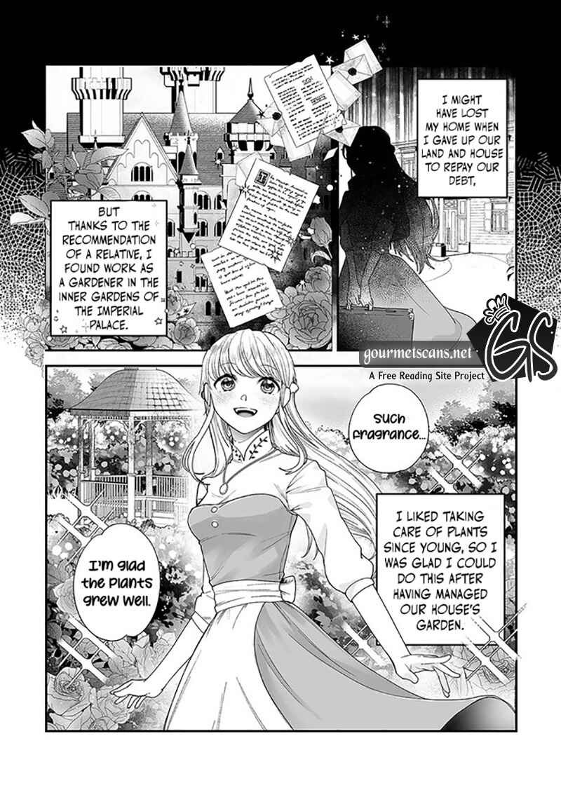 Page 7 Chapter 1 Royal Cinderella Mama: Tengai Kodoku no Botsuraku Reijou wa Reitetsu Koutei ni Dekiaisareru