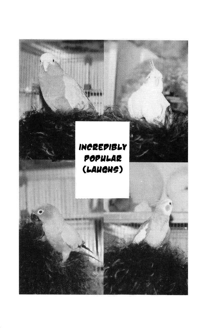 Page 43 Chapter 8 Akkan Baby