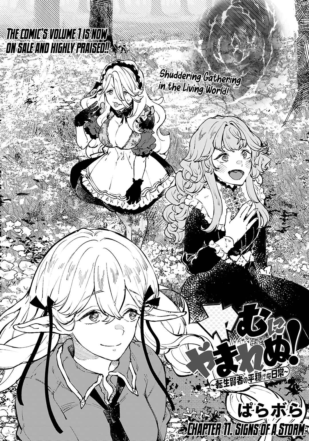 Page 2 Chapter 11 Yamu ni Yamarenu! ~Tensei Kenja no Heion(?) na Nichijou~