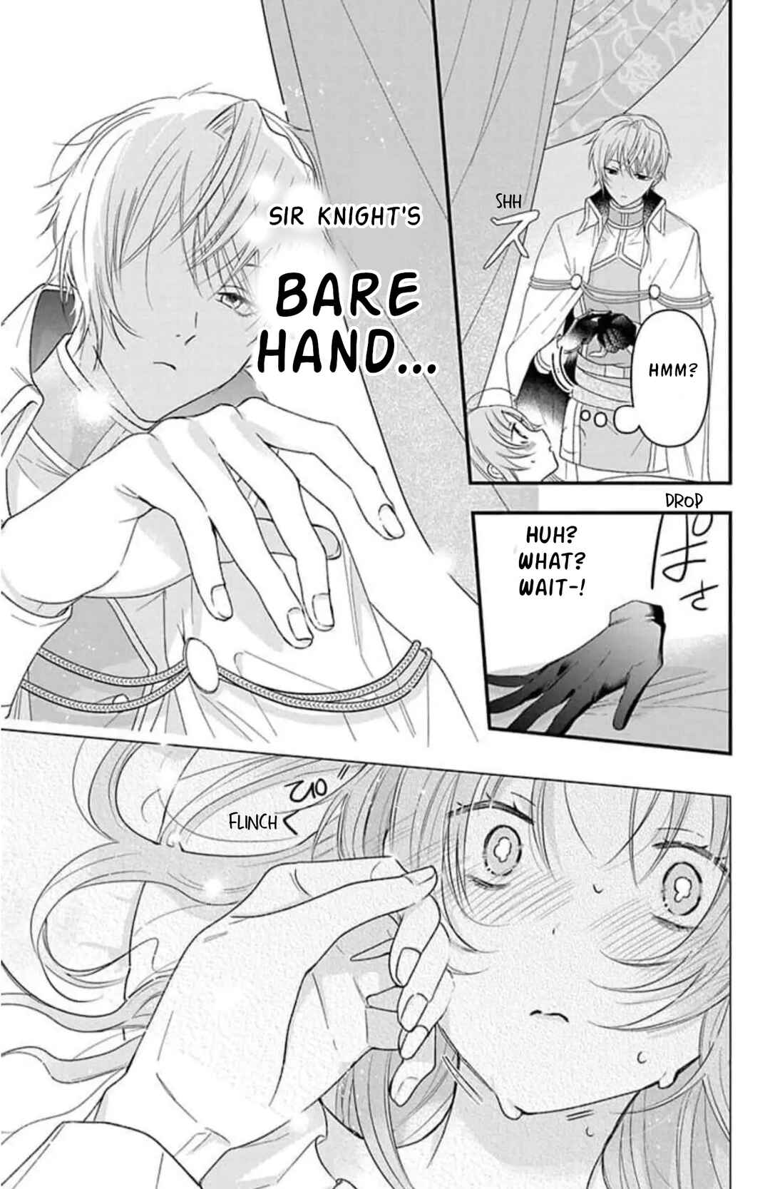 Page 17 Chapter 4 Hikikomori Hime to Dokuzetsu Kishi-sama