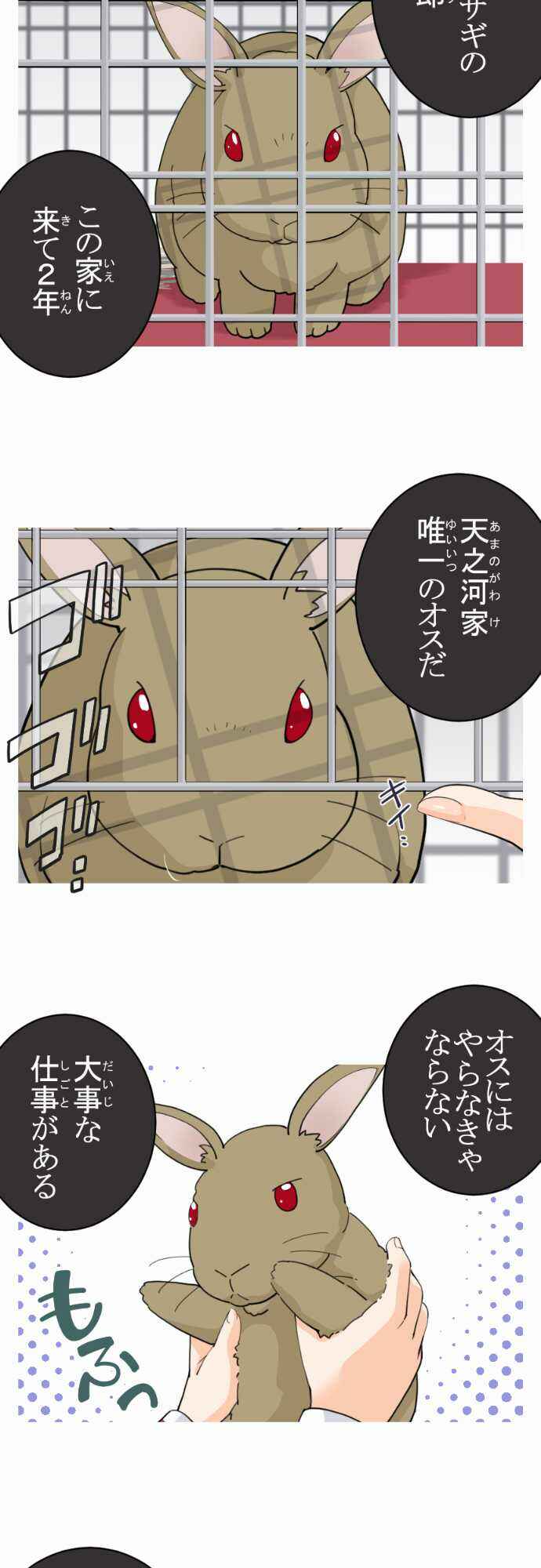 Page 19 Chapter 3 Amanogawa Ke no Yon Shimai