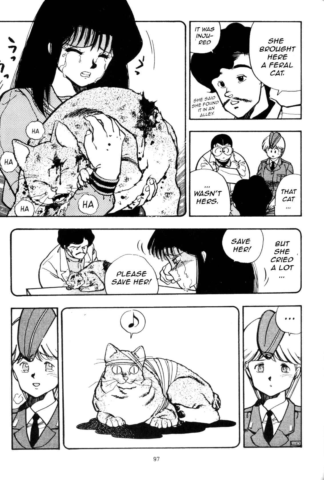 Page 17 Chapter 4 Everyday is Sunday