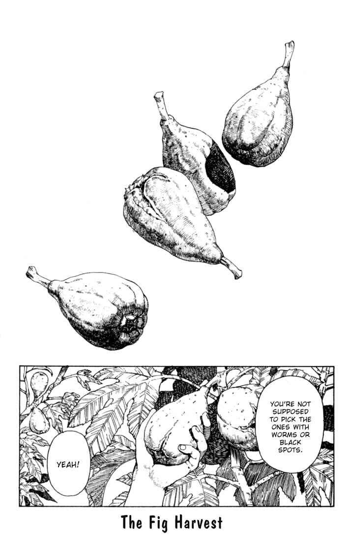 Page 33 Chapter 24 Eden: Its an Endless World!