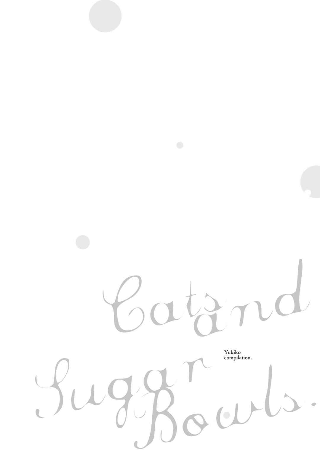 Page 2 Chapter 7 Cats and Sugar Bowls