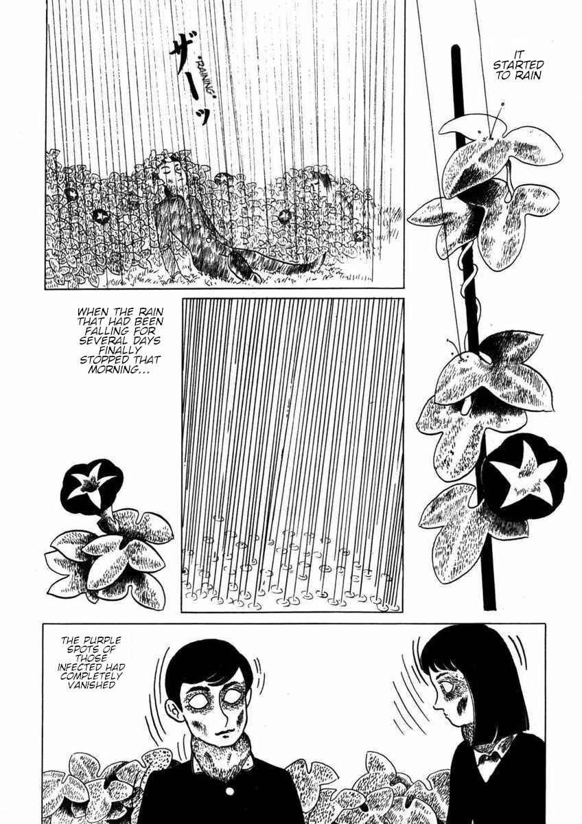 Page 12 Chapter Unknown_53b9 Natsu no Owari ni Yattekita Haru