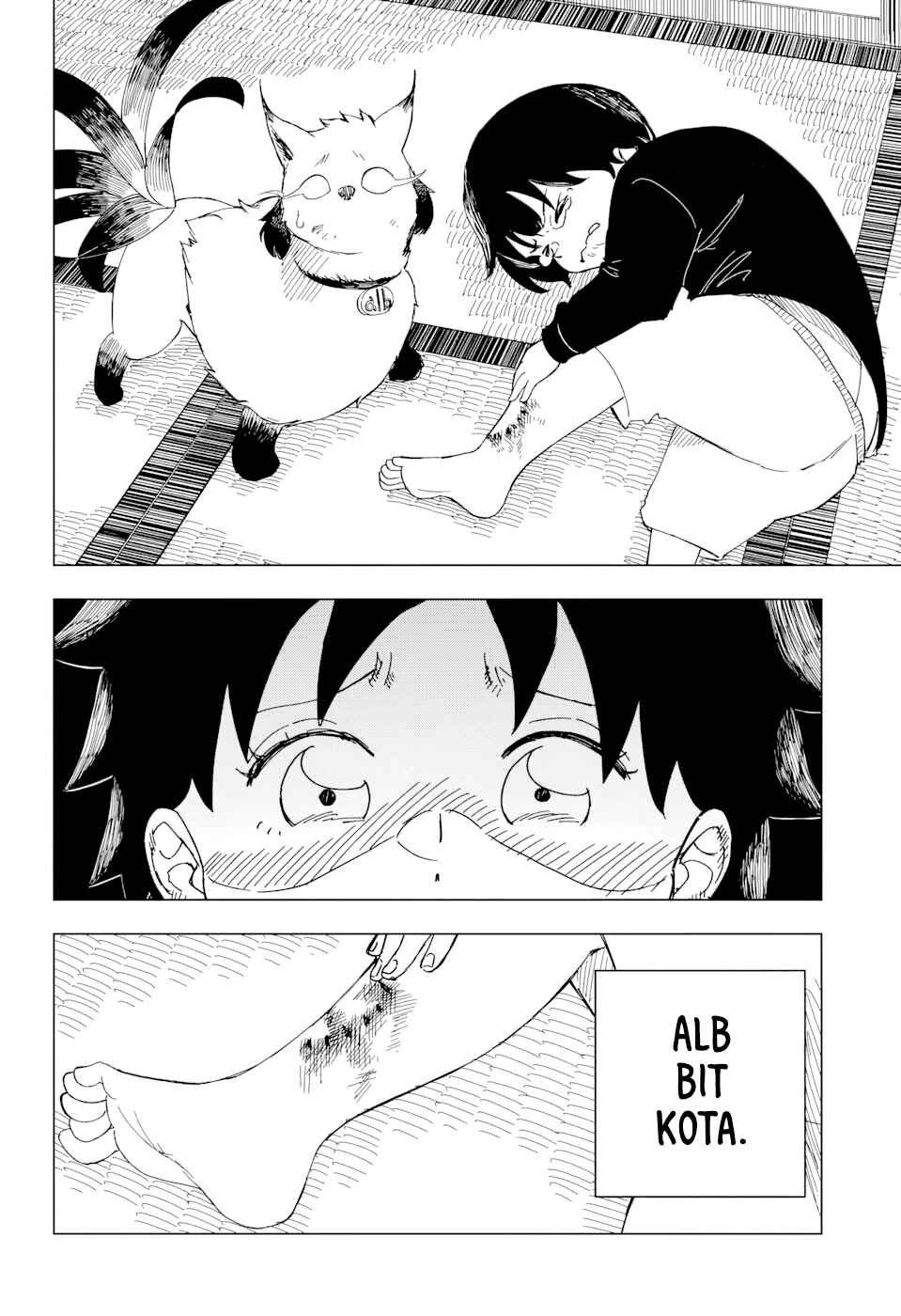 Page 29 Chapter Unknown_0642 Alb