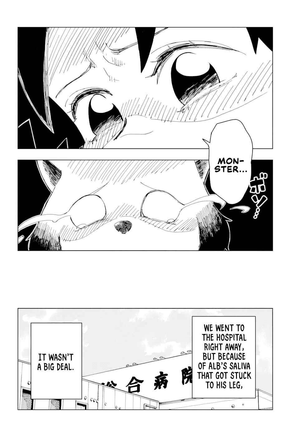 Page 31 Chapter Unknown_0642 Alb
