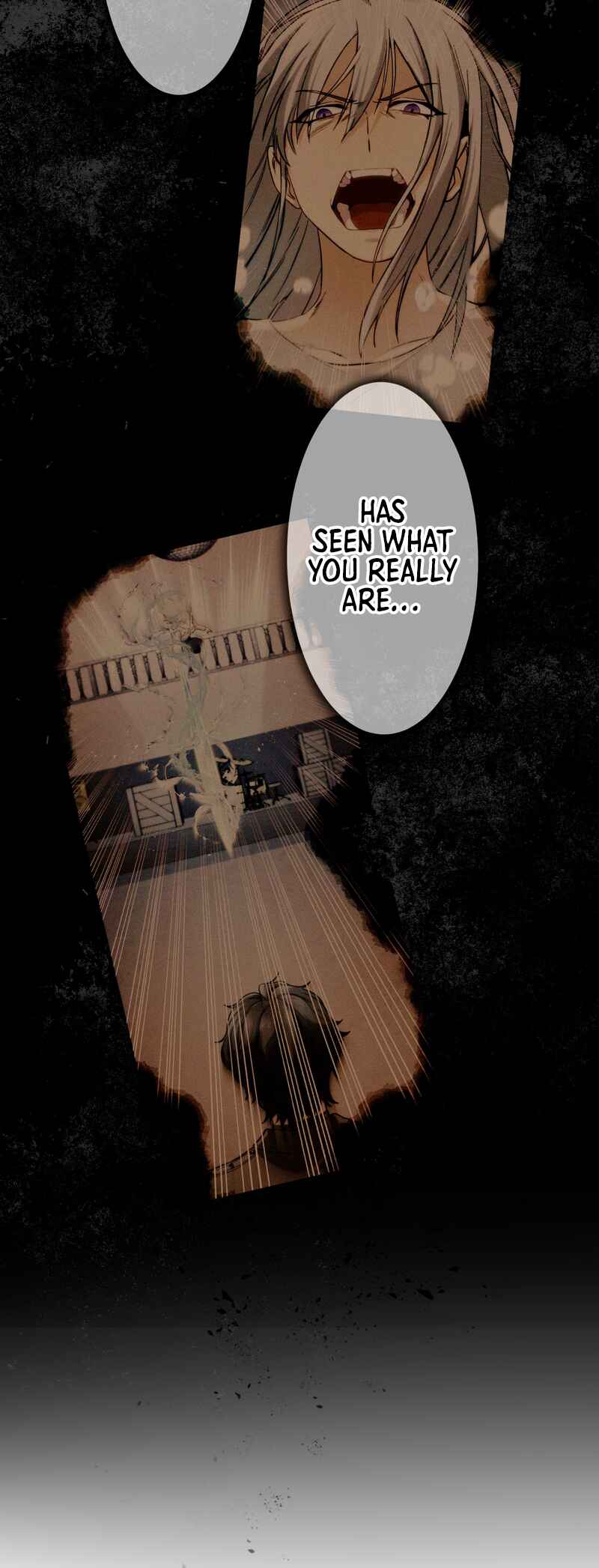 Page 3 Chapter 9 Revenge of the Unrivaled Streamer