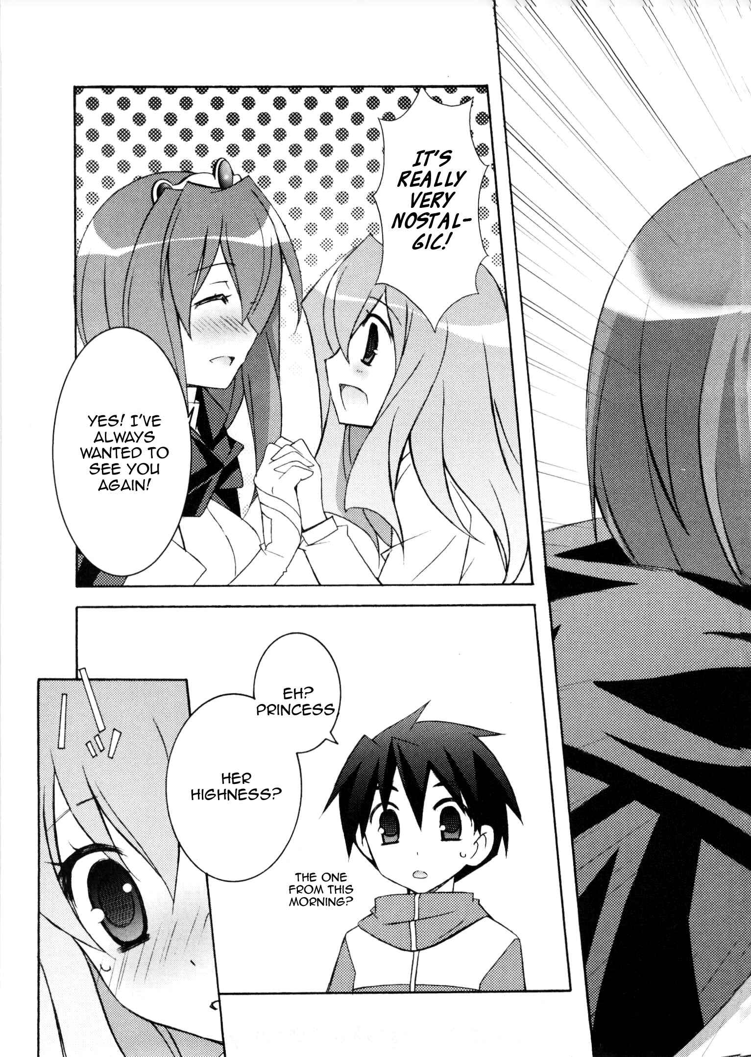 Page 3 Chapter 13 Zero no Tsukaima