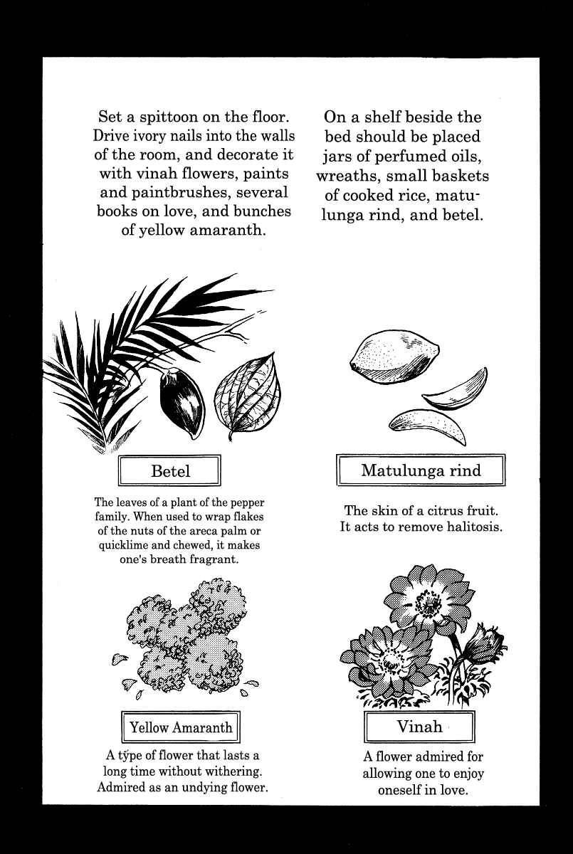 Page 19 Chapter 2 Kamasutra