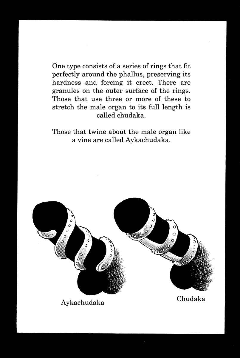 Page 13 Chapter 14 Kamasutra