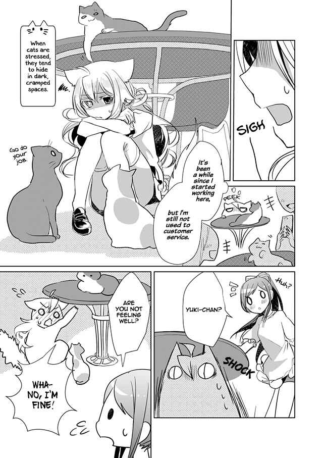 Page 3 Chapter 19 Catulus Syndrome
