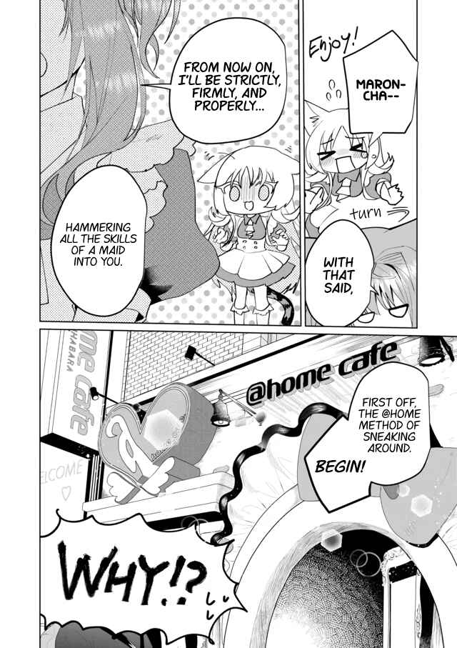 Page 12 Chapter 60 Catulus Syndrome