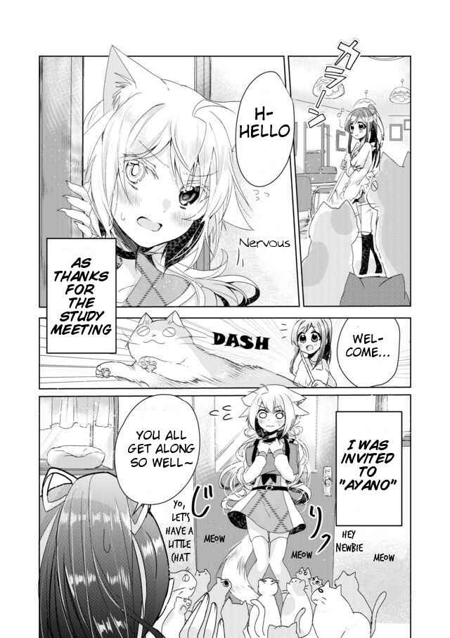 Page 2 Chapter 4 Catulus Syndrome