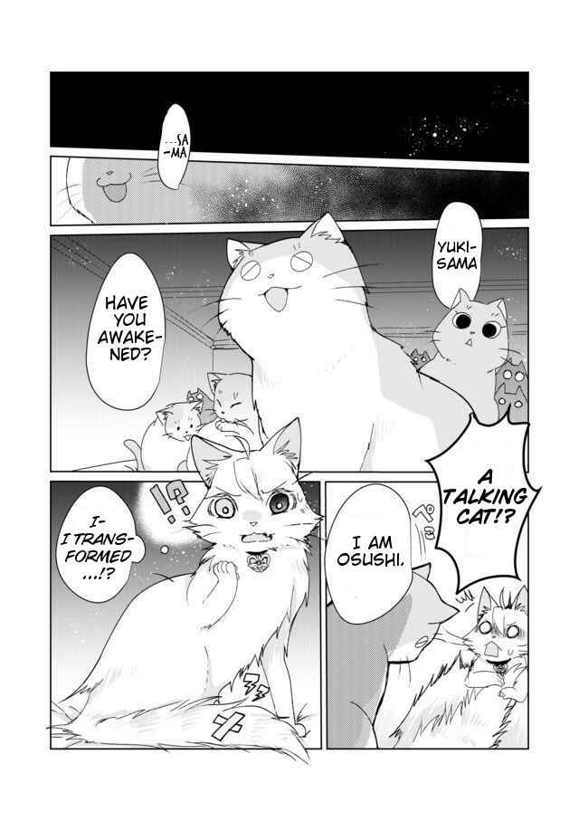 Page 6 Chapter 4 Catulus Syndrome