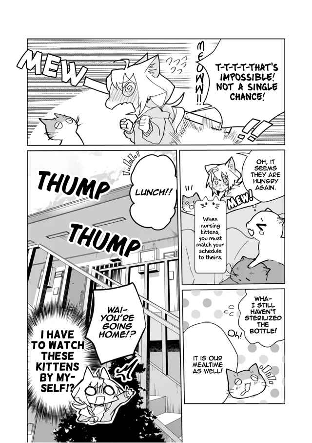 Page 12 Chapter 71 Catulus Syndrome