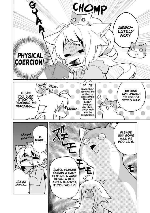 Page 8 Chapter 71 Catulus Syndrome
