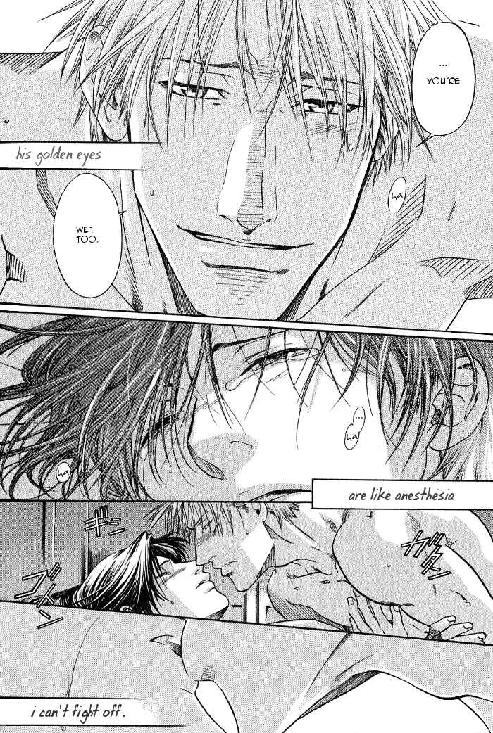 Page 22 Chapter 11.6 Hyakujitsu no Bara