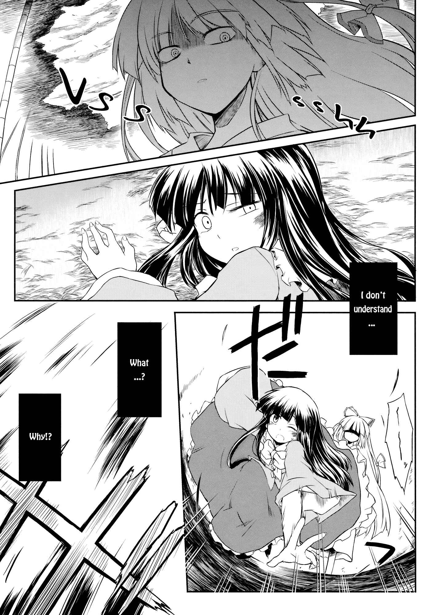 Page 9 Chapter Unknown_3352 Touhou - Undying (Doujinshi)