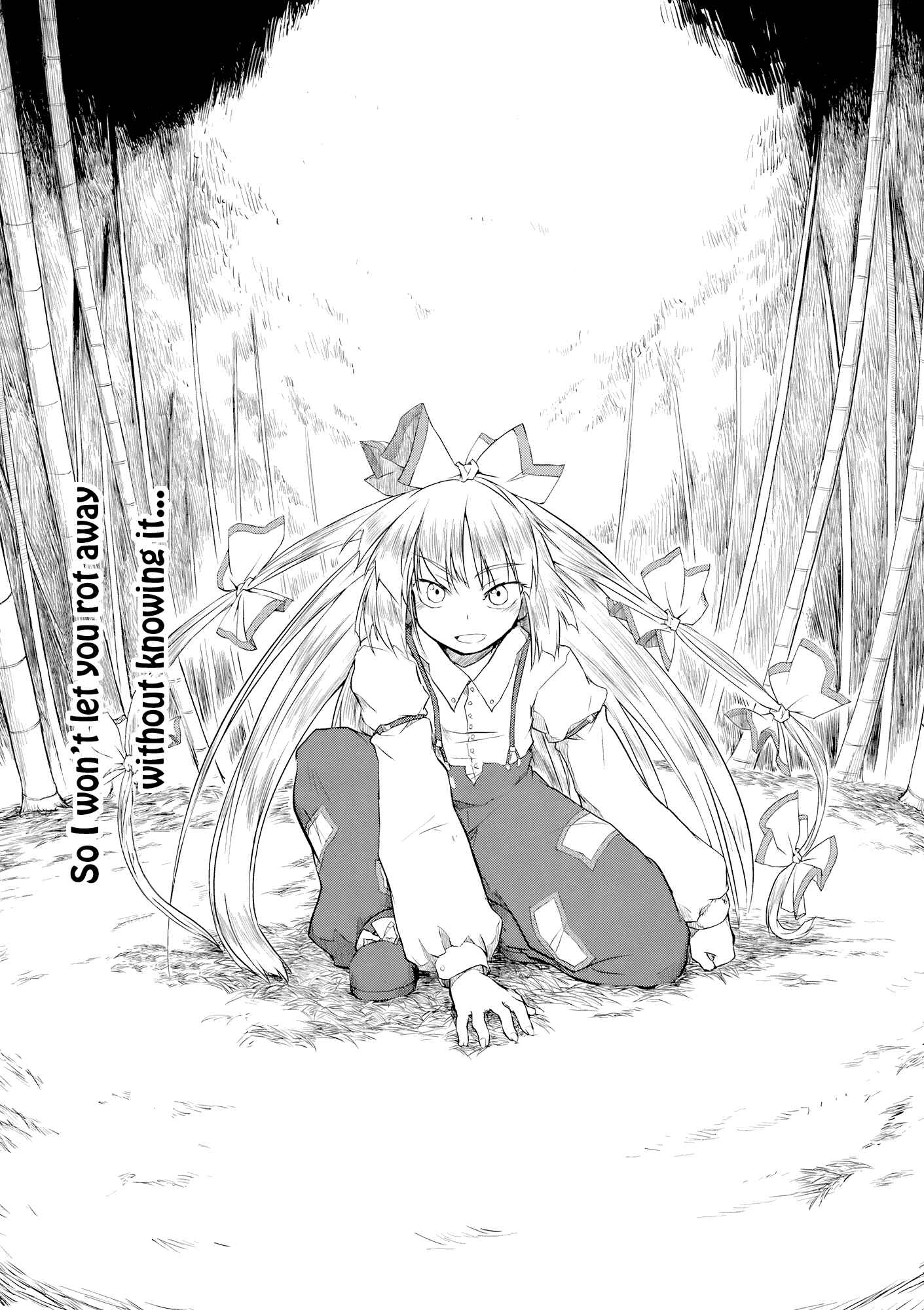 Page 35 Chapter Unknown_3352 Touhou - Undying (Doujinshi)