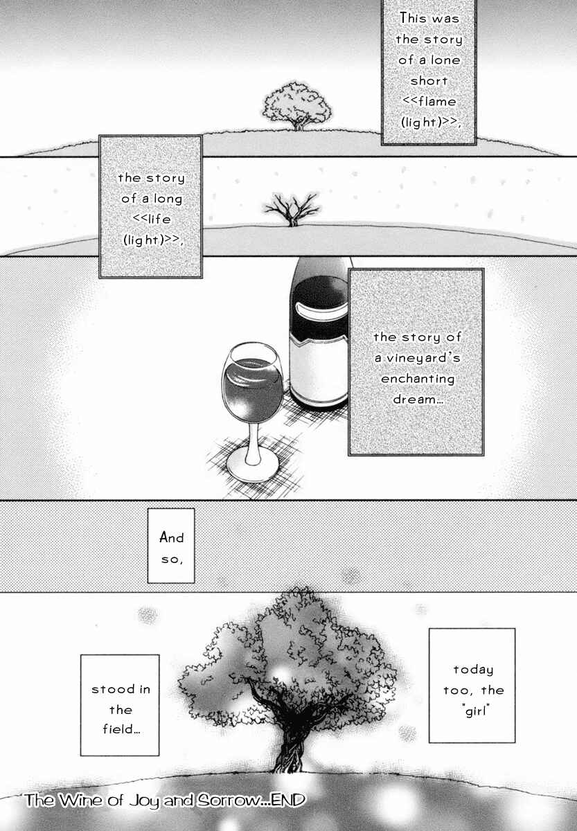 Page 31 Chapter 2 Roman