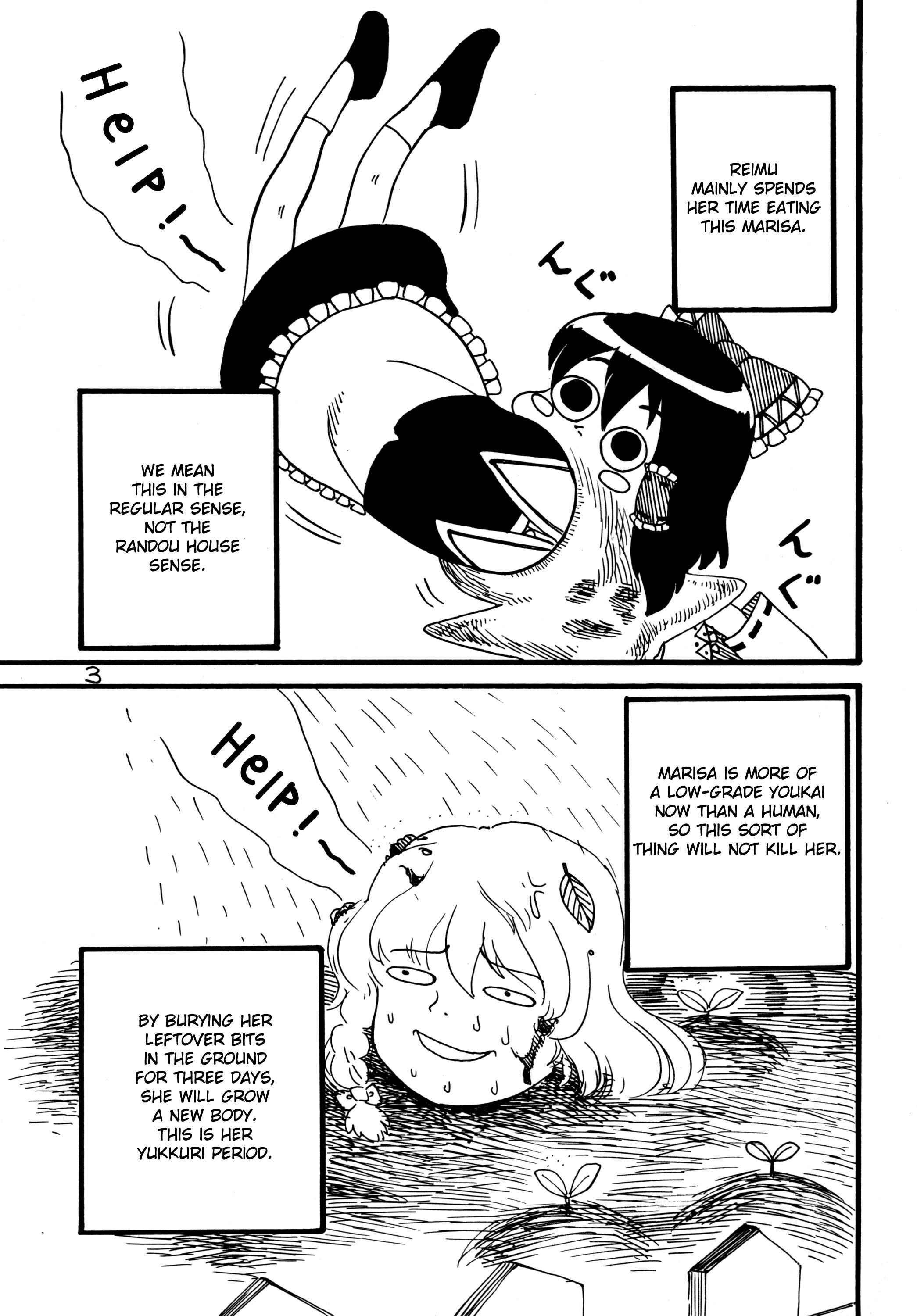 Page 4 Chapter Unknown_7c60 Touhou - A Day in the Life of Hakurei Reimu (Doujinshi)