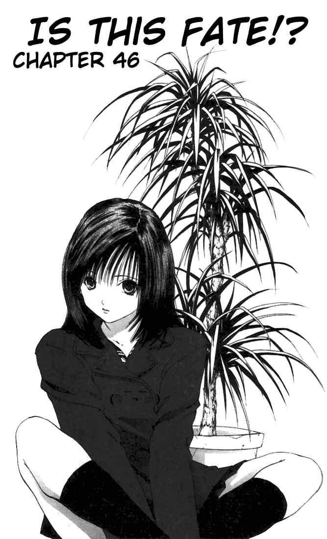 Page 1 Chapter 46 Ichigo 100%