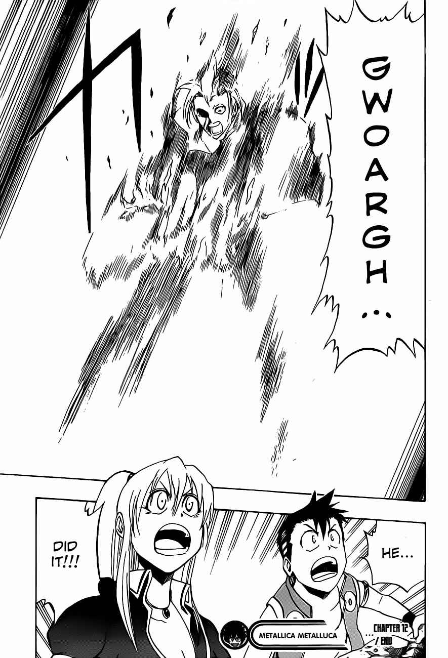 Page 20 Chapter 12 Metalica Metaluca