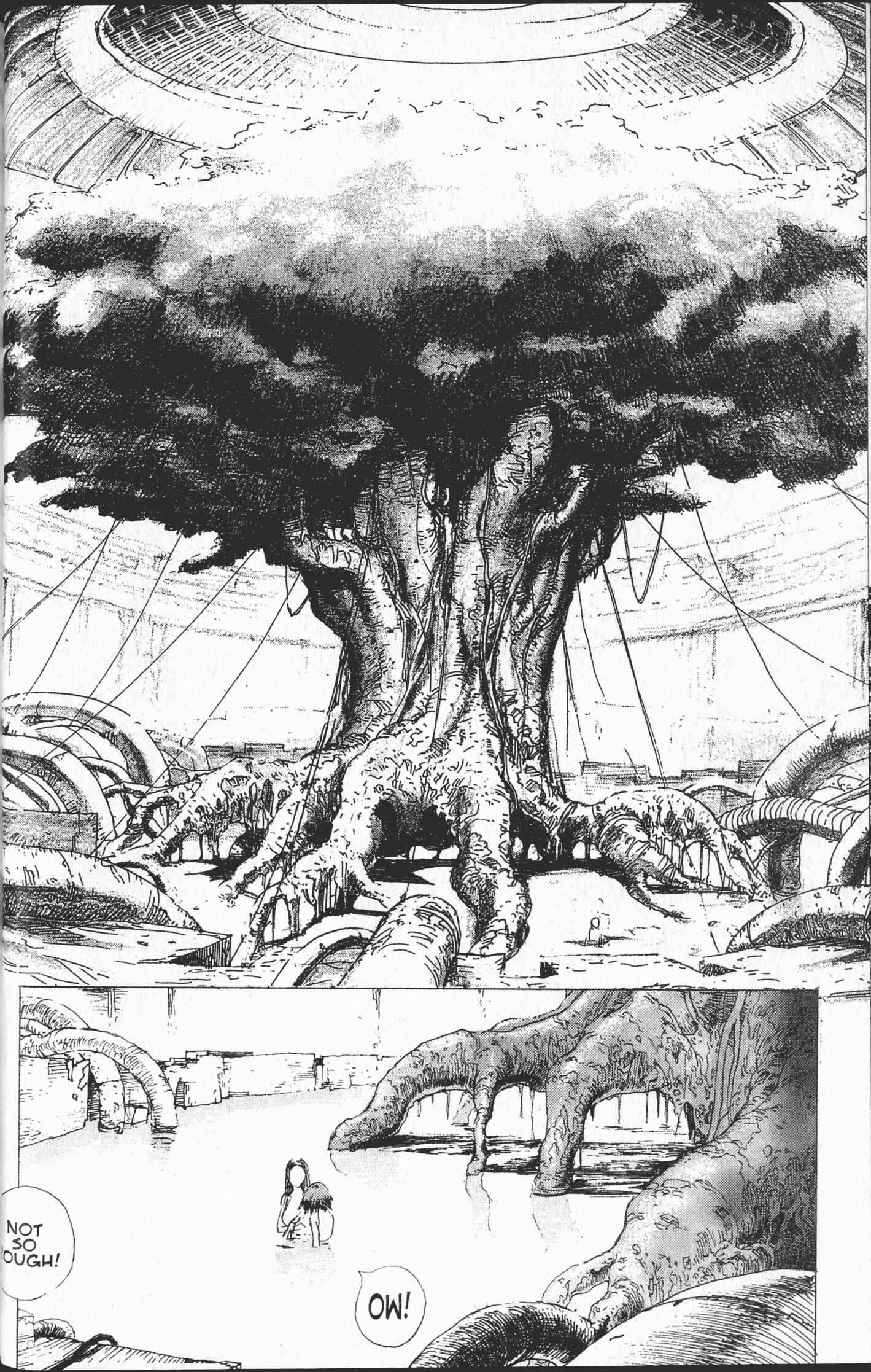 Page 31 Chapter 1.1 STONe