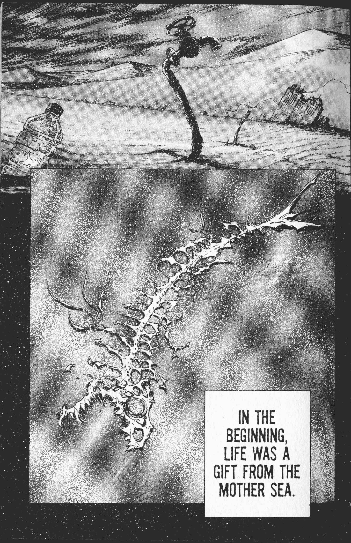 Page 6 Chapter 1.1 STONe