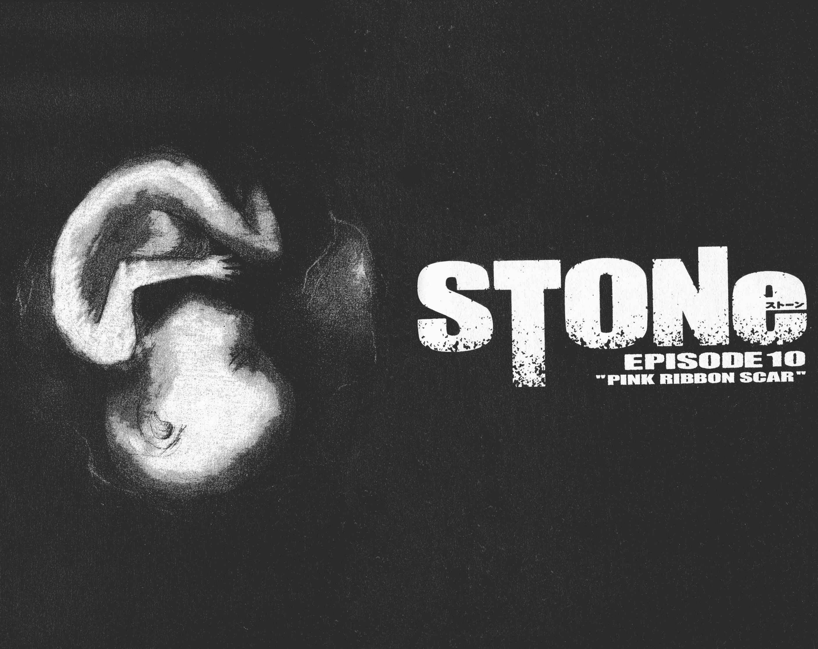 Page 4 Chapter 10 STONe