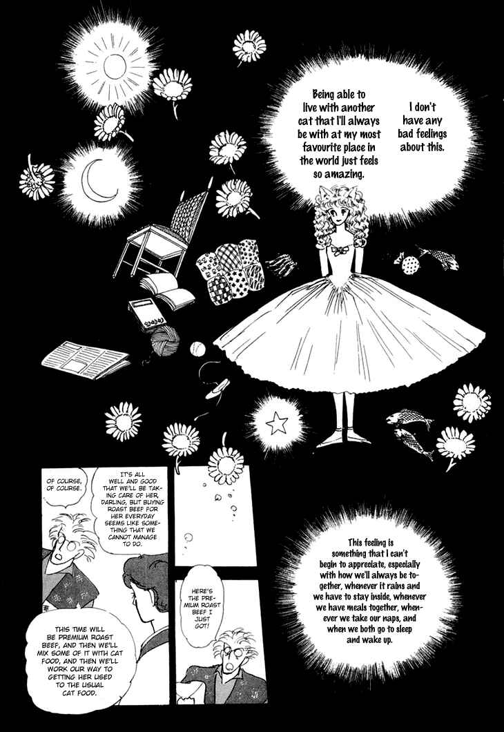 Page 19 Chapter 9 The Star of Cottonland