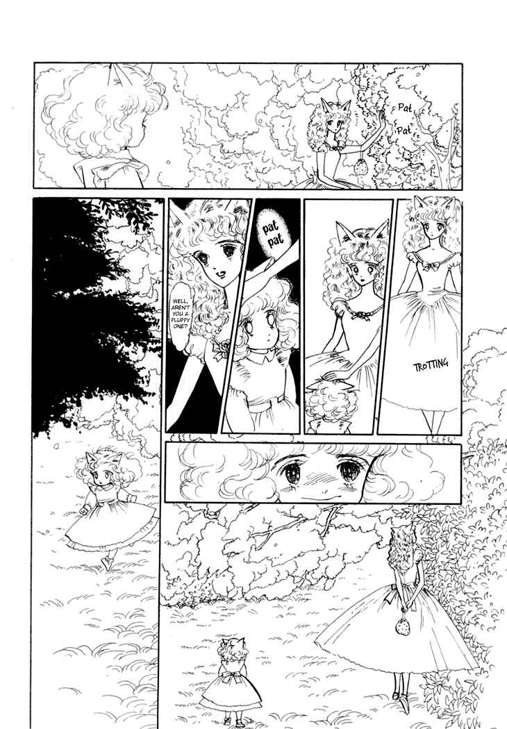 Page 6 Chapter 9 The Star of Cottonland