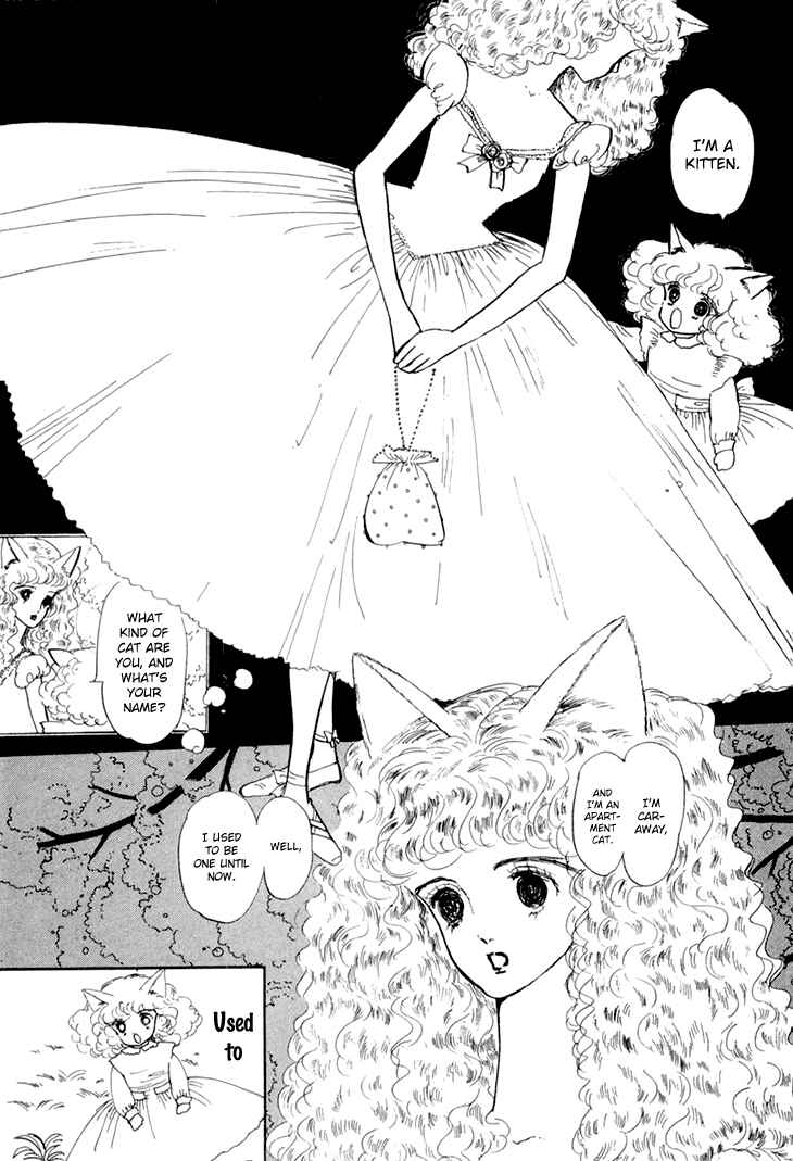 Page 7 Chapter 9 The Star of Cottonland