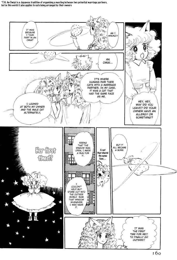 Page 8 Chapter 9 The Star of Cottonland