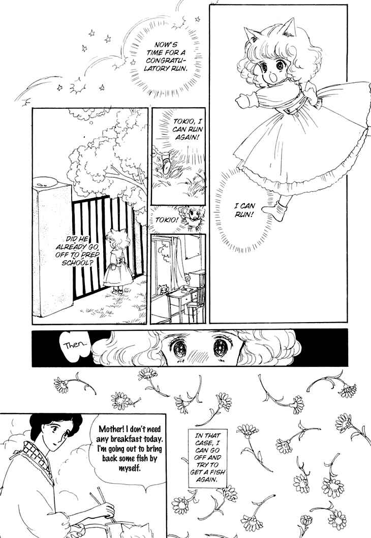 Page 34 Chapter 8 The Star of Cottonland