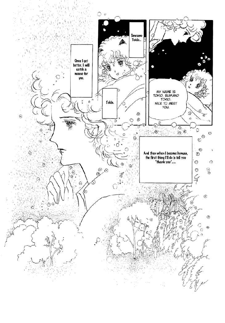 Page 10 Chapter 1.1 The Star of Cottonland
