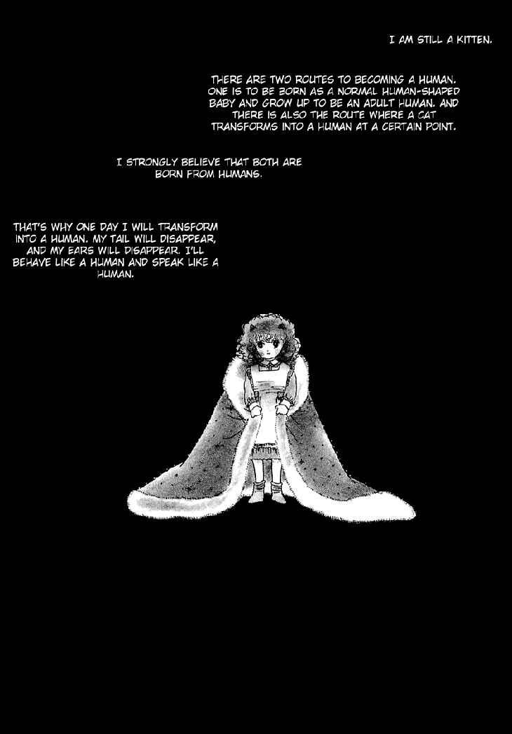 Page 11 Chapter 1.1 The Star of Cottonland