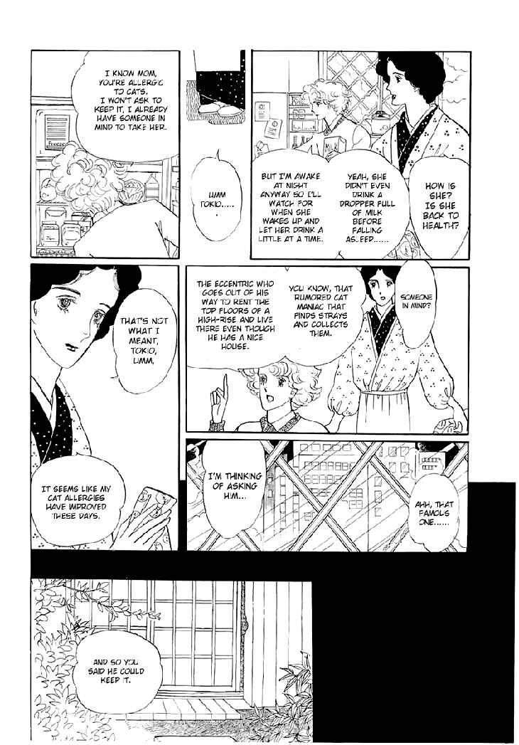 Page 7 Chapter 1.1 The Star of Cottonland