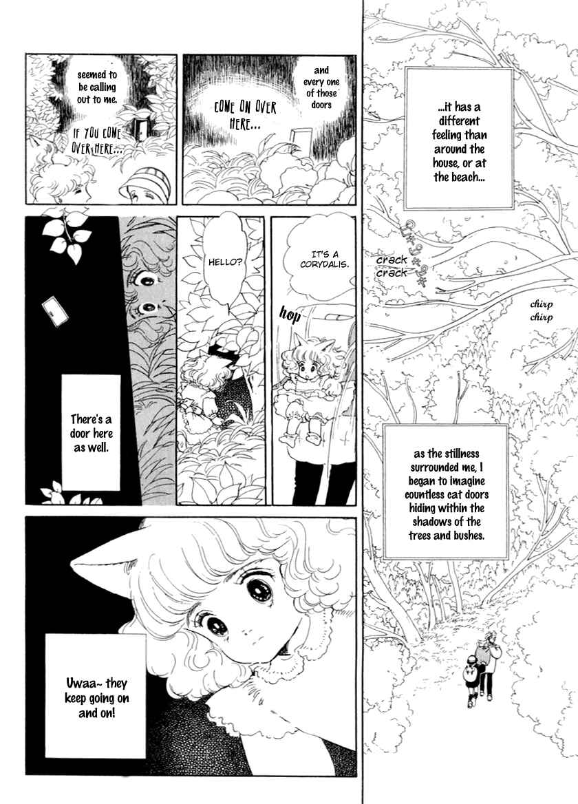 Page 5 Chapter 14 The Star of Cottonland
