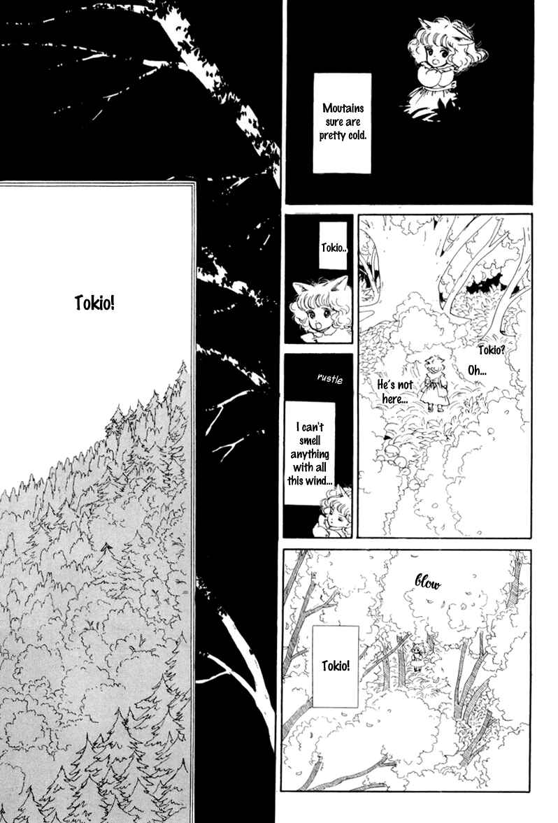 Page 8 Chapter 14 The Star of Cottonland