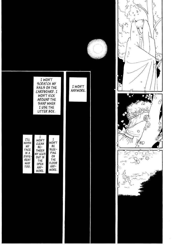 Page 28 Chapter 1.2 The Star of Cottonland