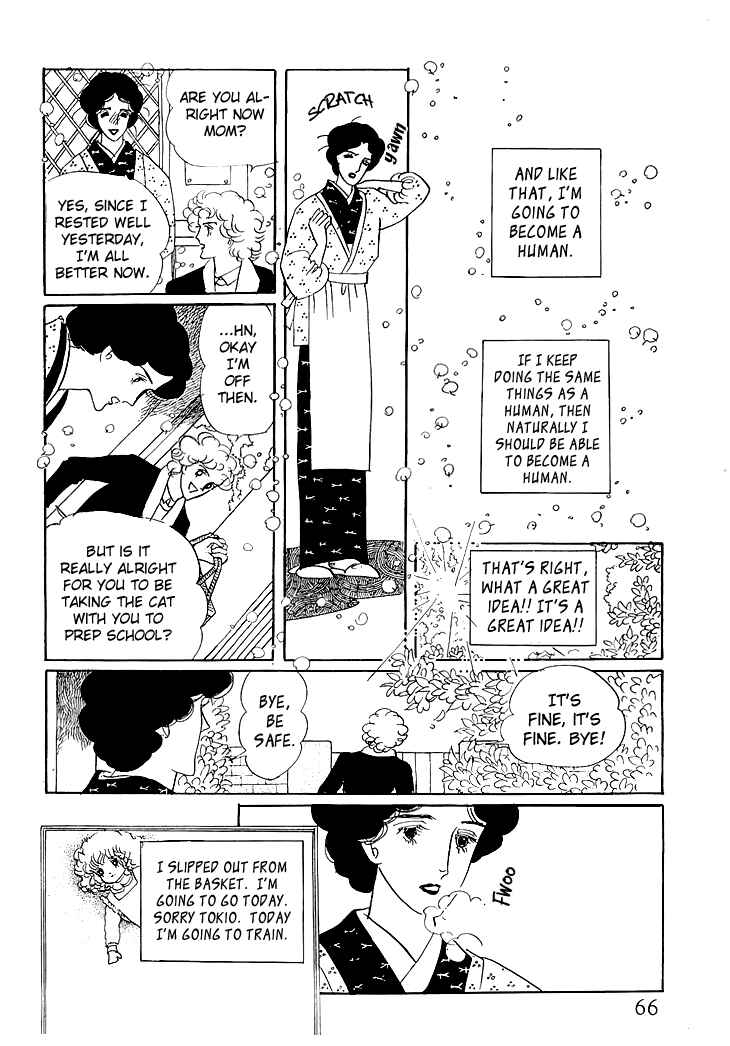 Page 29 Chapter 1.2 The Star of Cottonland