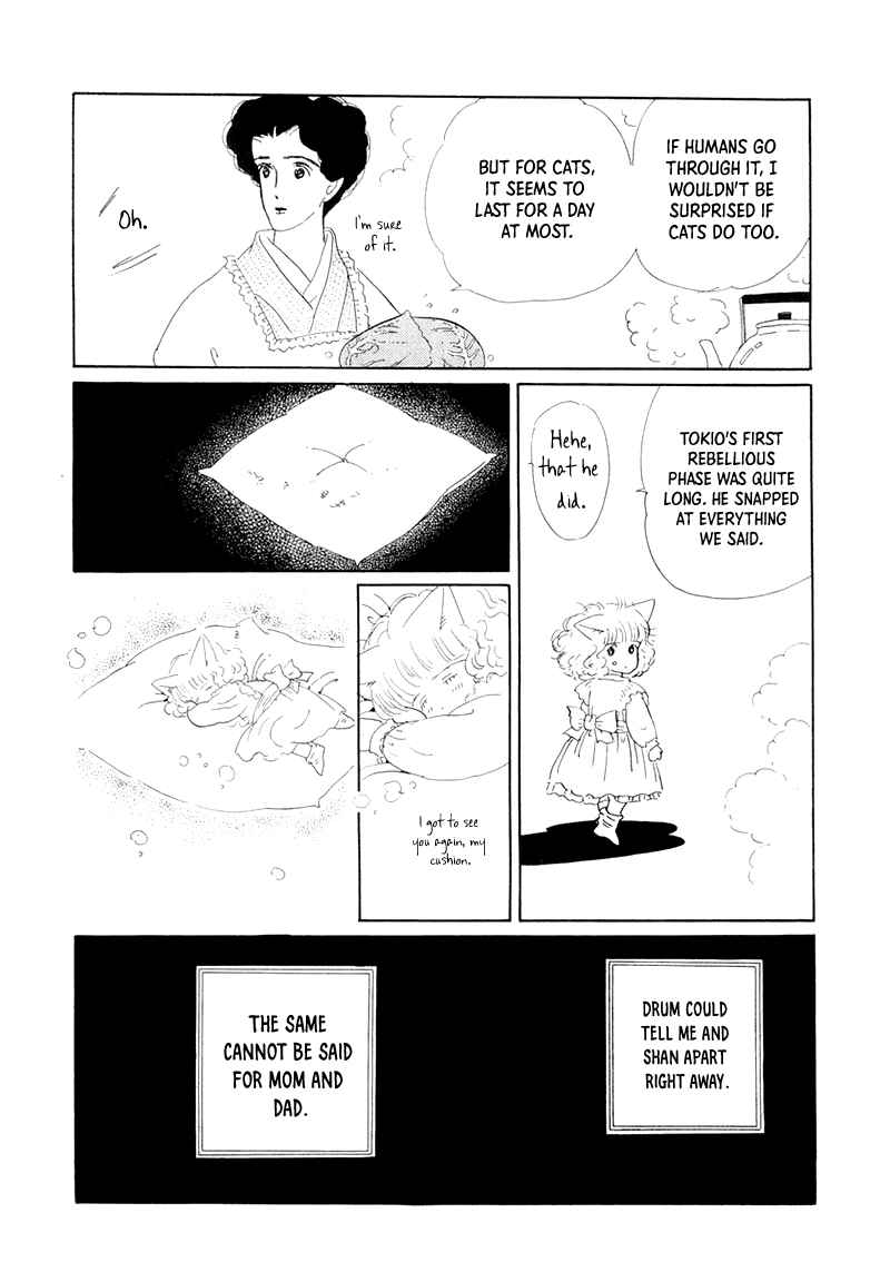 Page 52 Chapter 20 The Star of Cottonland