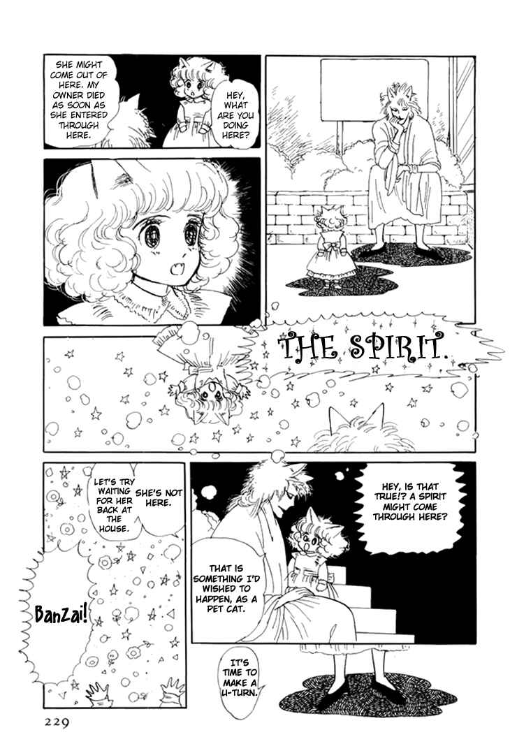 Page 29 Chapter 10 The Star of Cottonland