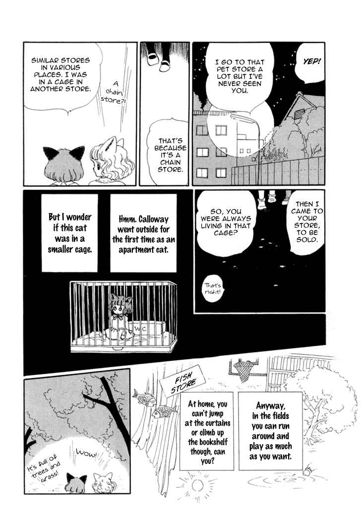 Page 10 Chapter 16 The Star of Cottonland
