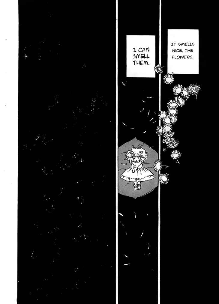 Page 49 Chapter 7 The Star of Cottonland