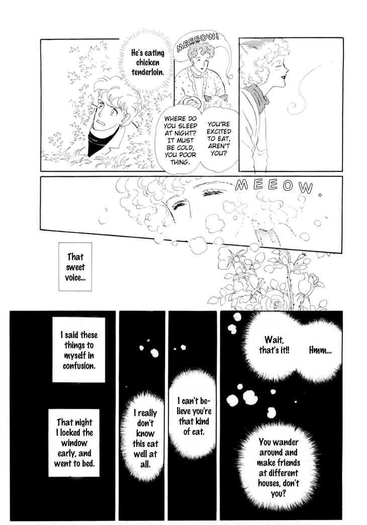 Page 13 Chapter 17 The Star of Cottonland