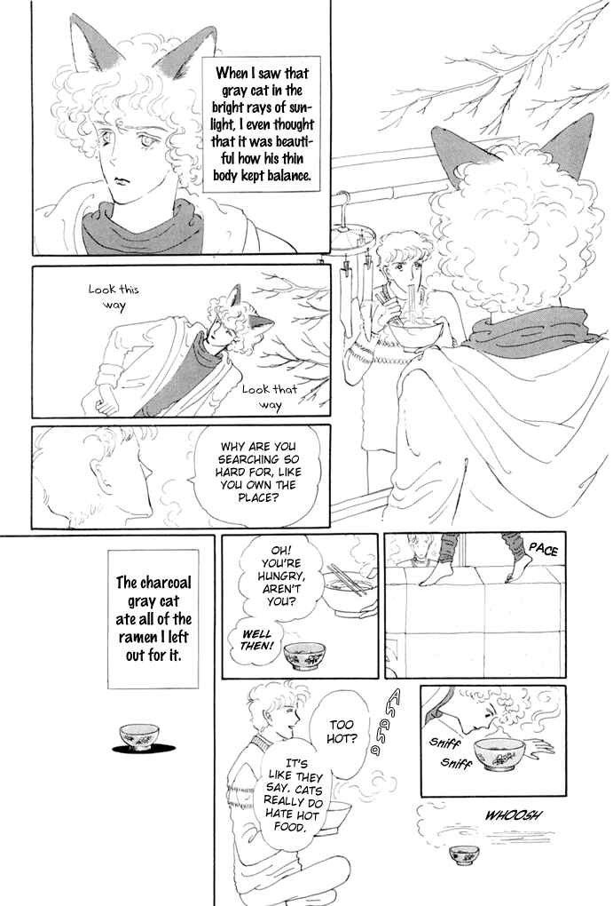 Page 7 Chapter 17 The Star of Cottonland